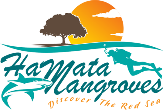 Hamata Mangroves Logo