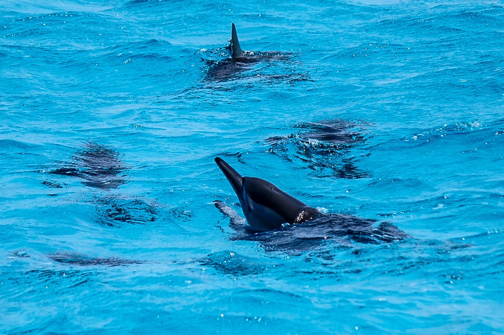 7524943888__MG_9272